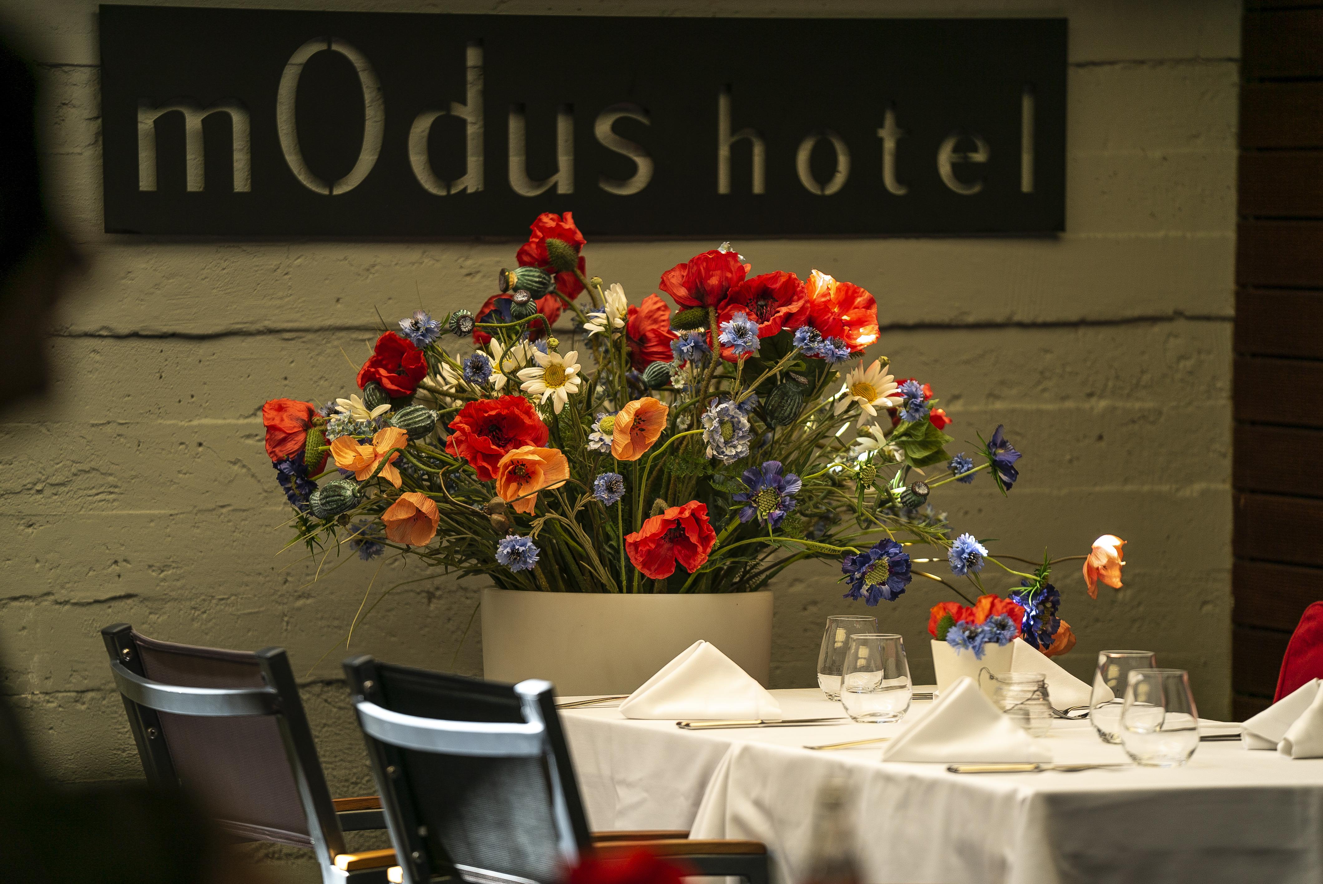 Hotel Modus Varna